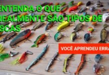 Tipos de Iscas Artificiais, O que Você Sabe Está Errado! Tipos de Iscas Artificiais