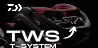 O que é Daiwa TWS?